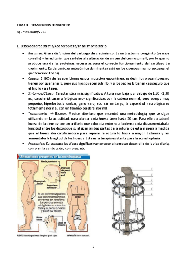 Miniatura del documento TEMA-3.pdf