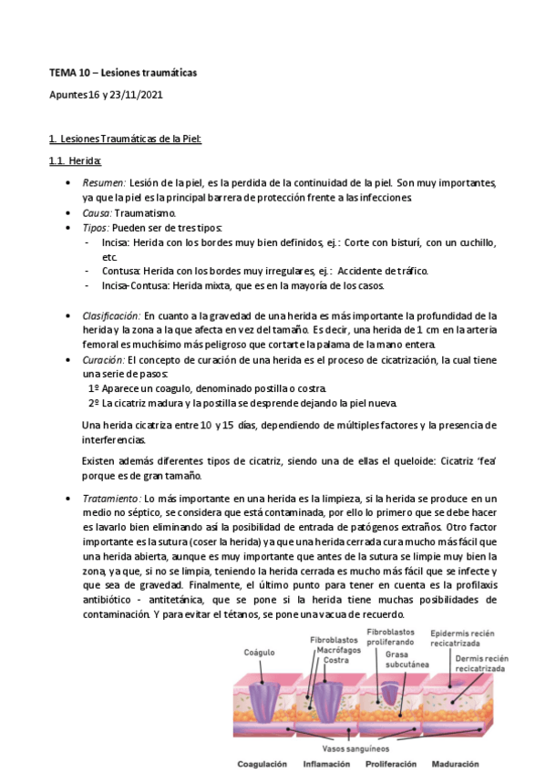 Miniatura del documento TEMA-10.-Lesiones-traumaticas.pdf