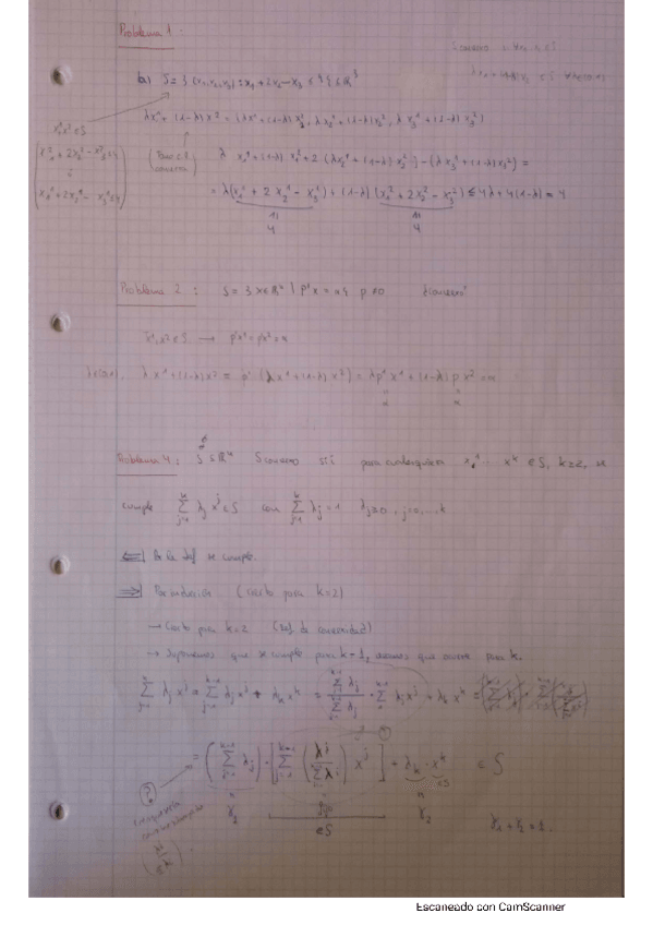 Miniatura del documento Ejercicios-Convexidad.pdf