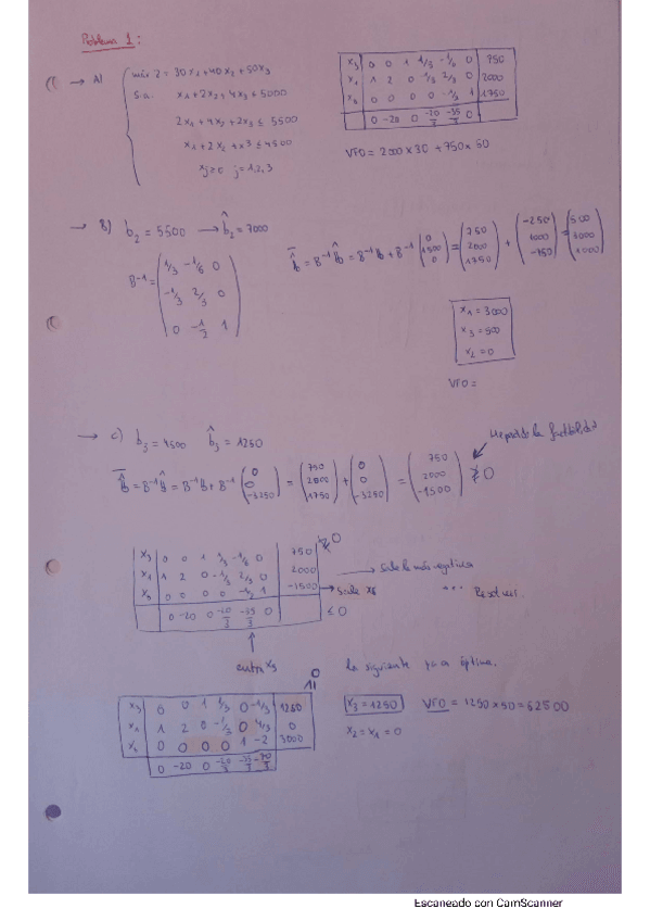 Miniatura del documento Problemas-complementarios-analisis-postoptimo-hoja-complementaria.pdf
