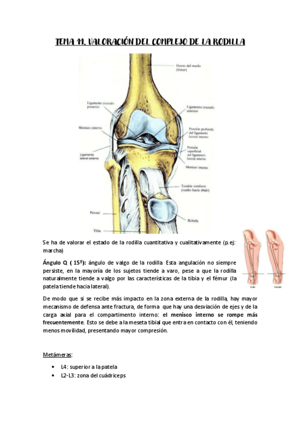 Miniatura del documento Tema-12-valoracion-test-incompletos.pdf