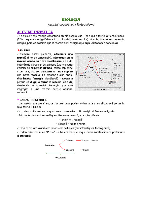 Miniatura del documento Actividad enzimática y Metabolismo.pdf