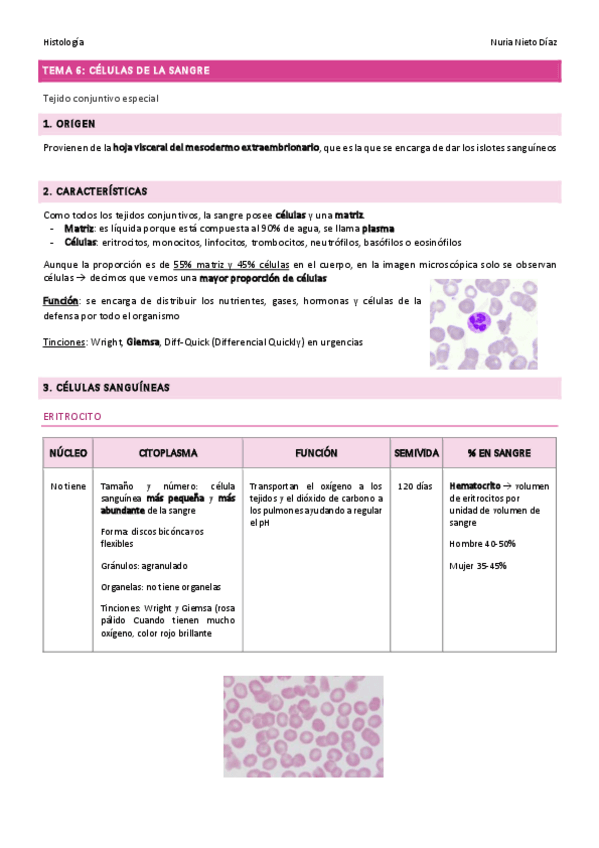 Miniatura del documento TEMA-6-Celulas-de-la-sangre.pdf