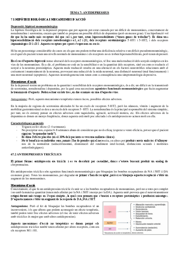Miniatura del documento Tema-Antidepressius.pdf
