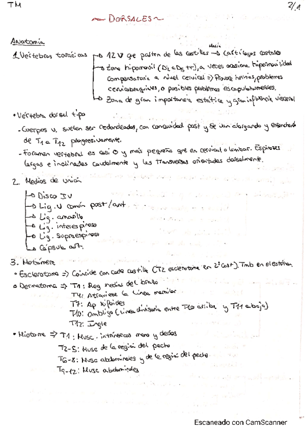 Miniatura del documento Dorsales-TM.pdf