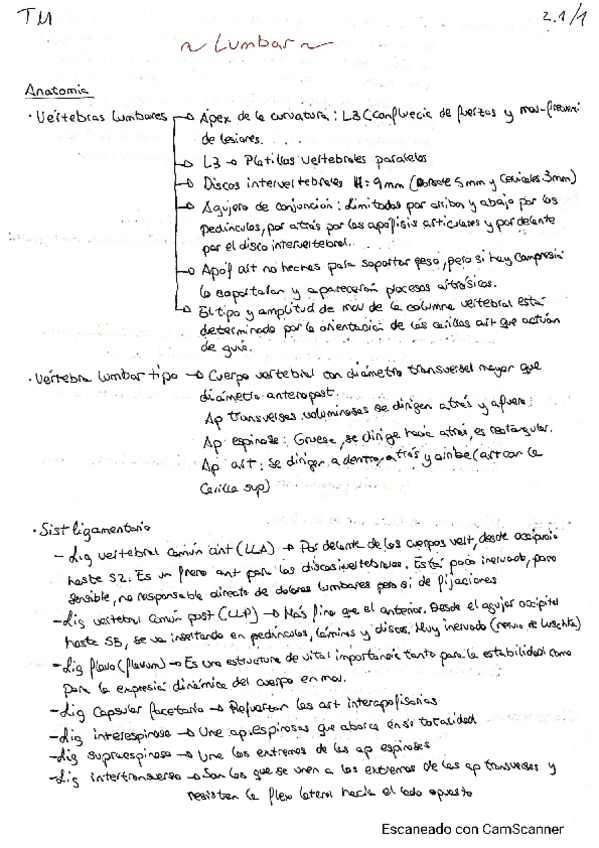 Miniatura del documento Lumbares-TM.pdf