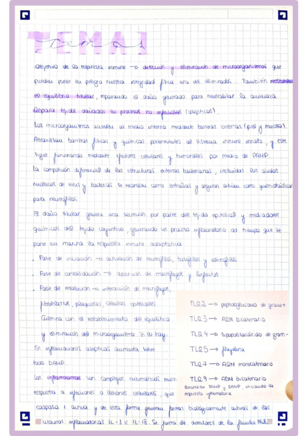 Miniatura del documento TEMA1INMP.pdf