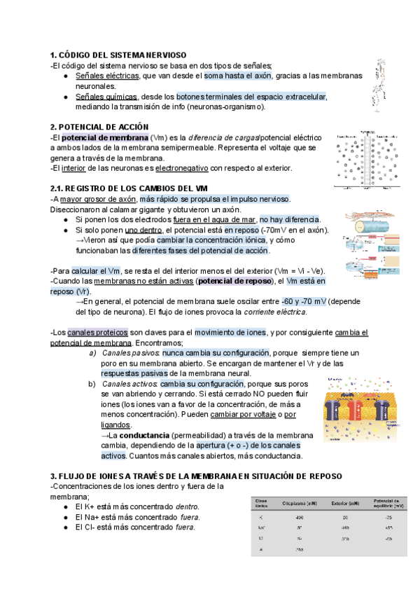 Miniatura del documento T6-BASES-DE-LA-COMUNICACION-NEURONAL-POTENCIAL-DE-REPOSO-Y-DE-ACCION.pdf