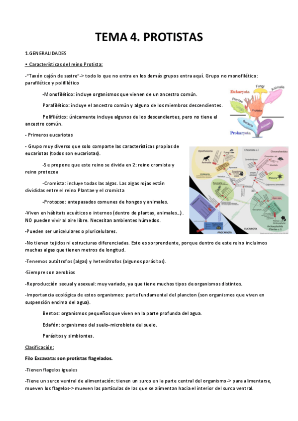 Miniatura del documento protistas-y-nematodos.pdf
