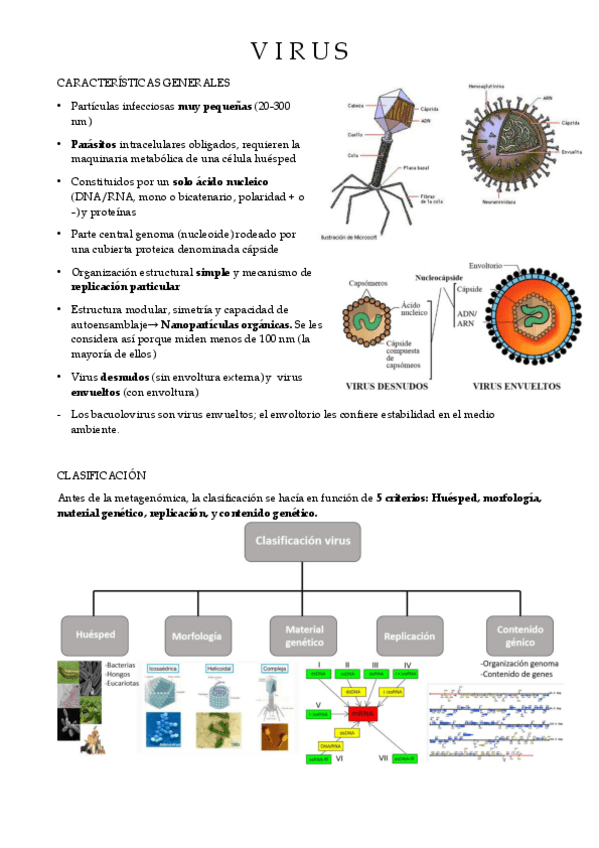 Miniatura del documento V-I-R-U-S.pdf