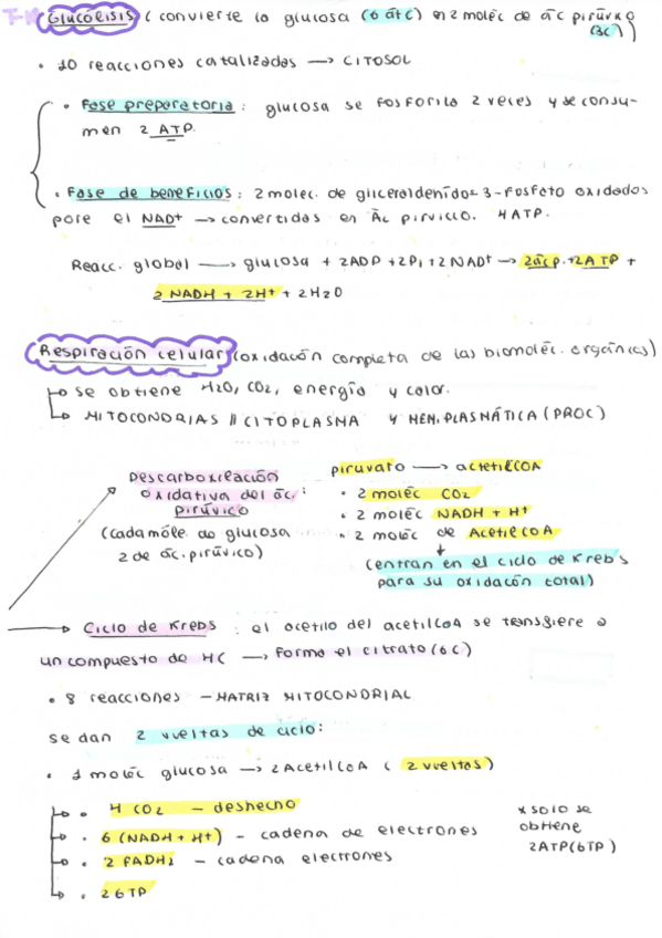 Miniatura del documento esqeuma-t-10-anabolismo.pdf