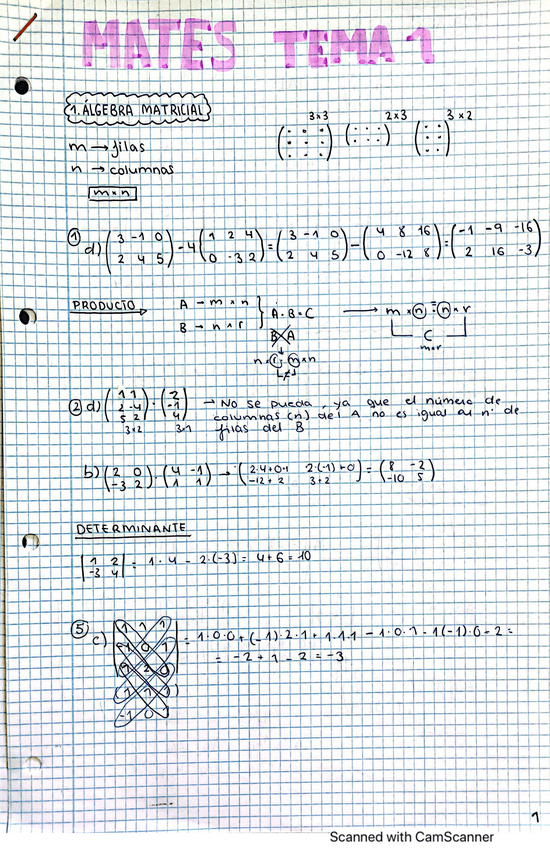 Miniatura del documento MATE-1-Tema-1.pdf