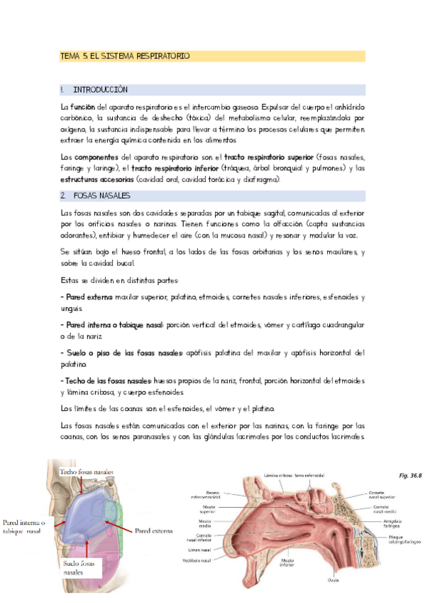 Miniatura del documento TEMA-9.pdf