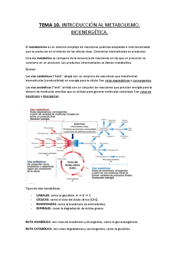 Miniatura del documento TEMA-10-Y-11-BIOQUIMICA.pdf