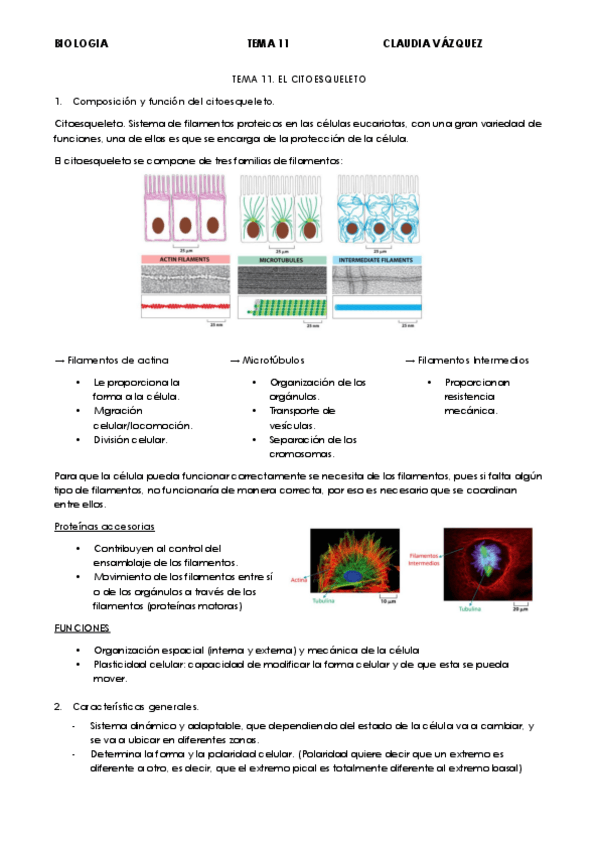 Miniatura del documento TEMA-11.pdf