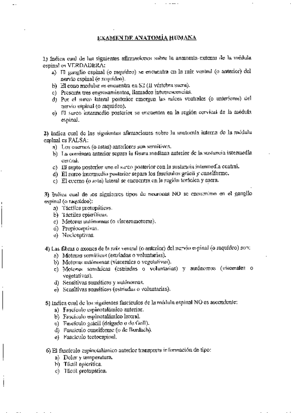 Miniatura del documento EX.pdf