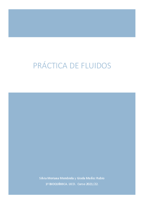 Miniatura del documento PRACTICA.pdf