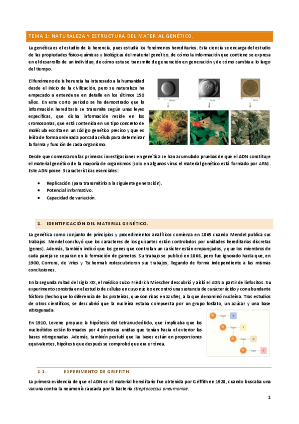 Miniatura del documento T1.pdf