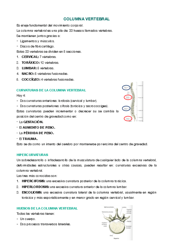 Miniatura del documento T-5-COLUMNA-VERTEBRAL.pdf