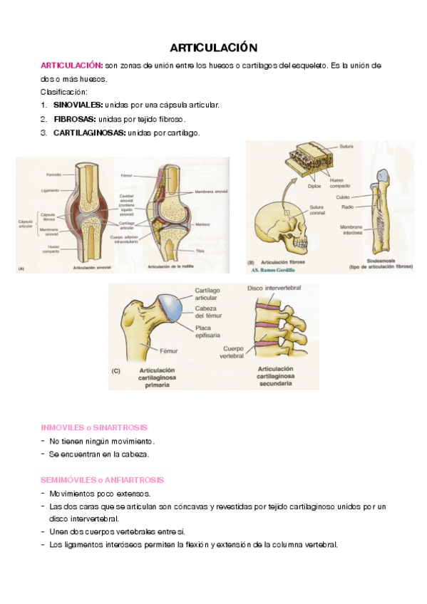 Miniatura del documento T-3-ARTICULACIONES.pdf