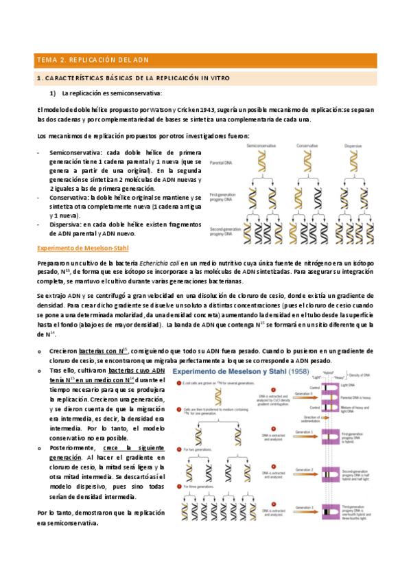 Miniatura del documento TEMA-2.pdf