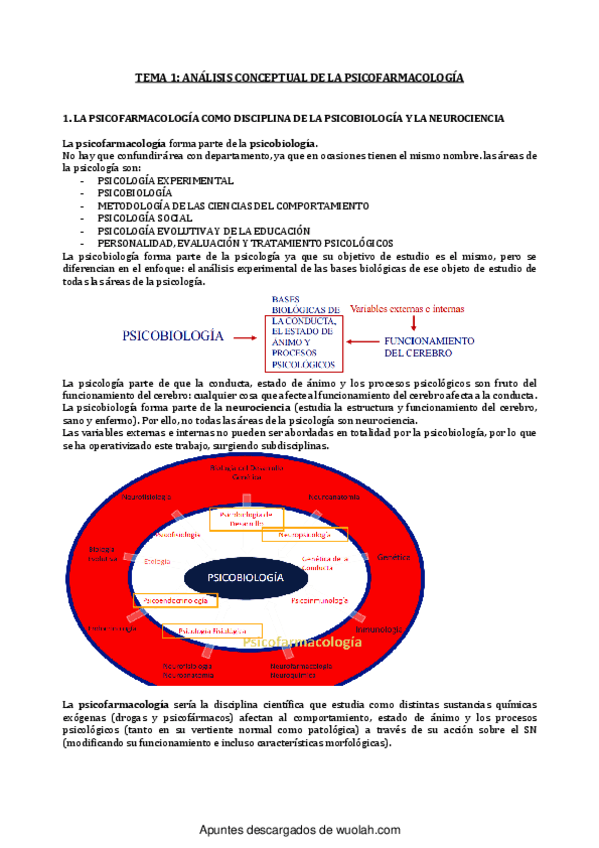 Miniatura del documento tema 1 (2).pdf