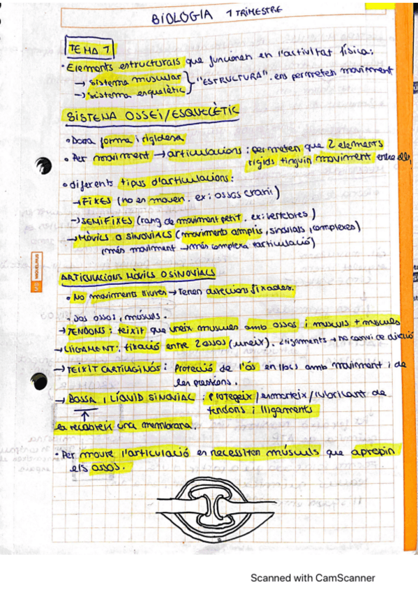 Miniatura del documento BIOLOGIA-1-TRIMESTRE-2BACH.pdf