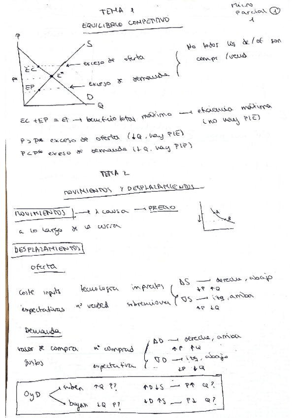 Miniatura del documento Parcial 1 Temas 1-5 apuntes.pdf