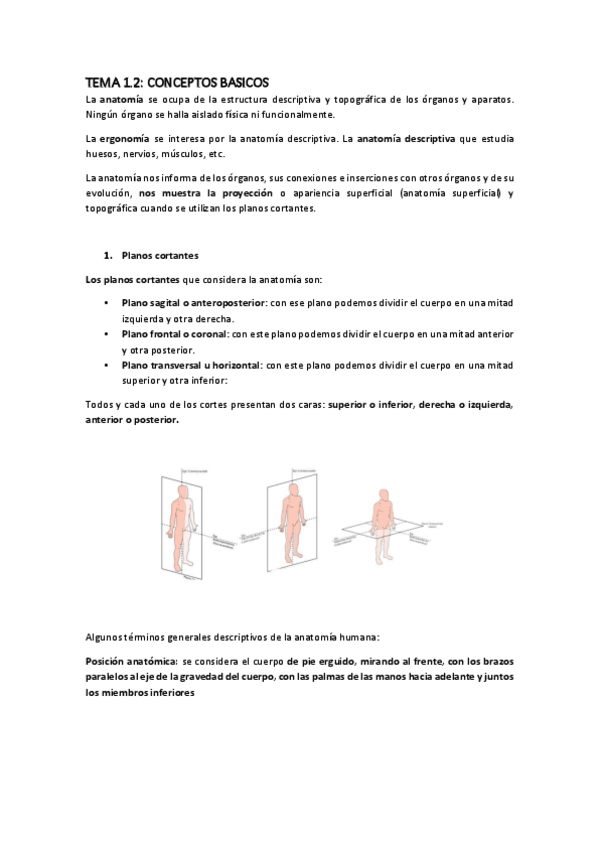 Miniatura del documento tema-2.pdf