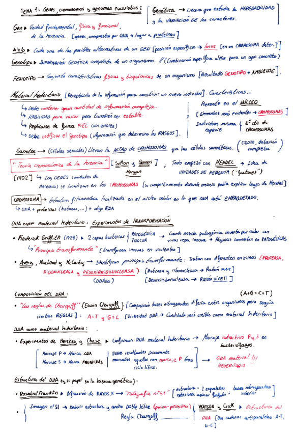 Miniatura del documento Genética_2021_2022