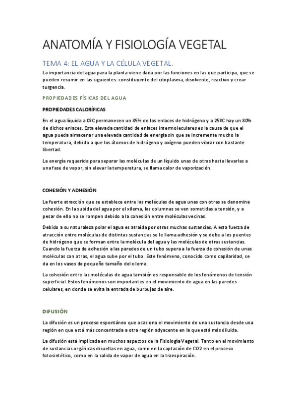 Miniatura del documento AFV T4.pdf