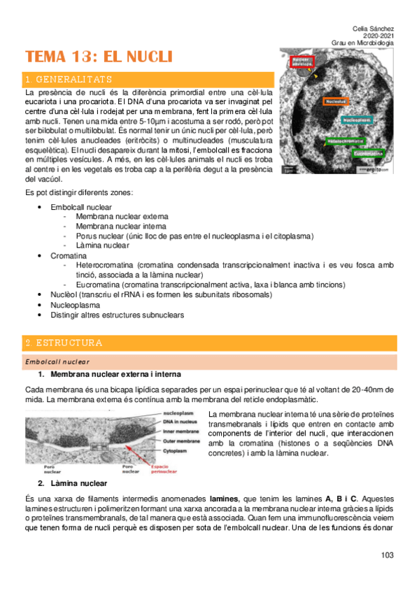 Miniatura del documento Tema-13.pdf
