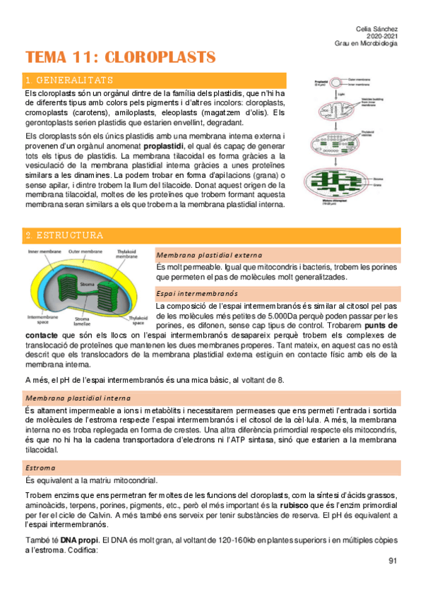 Miniatura del documento Tema-11.pdf