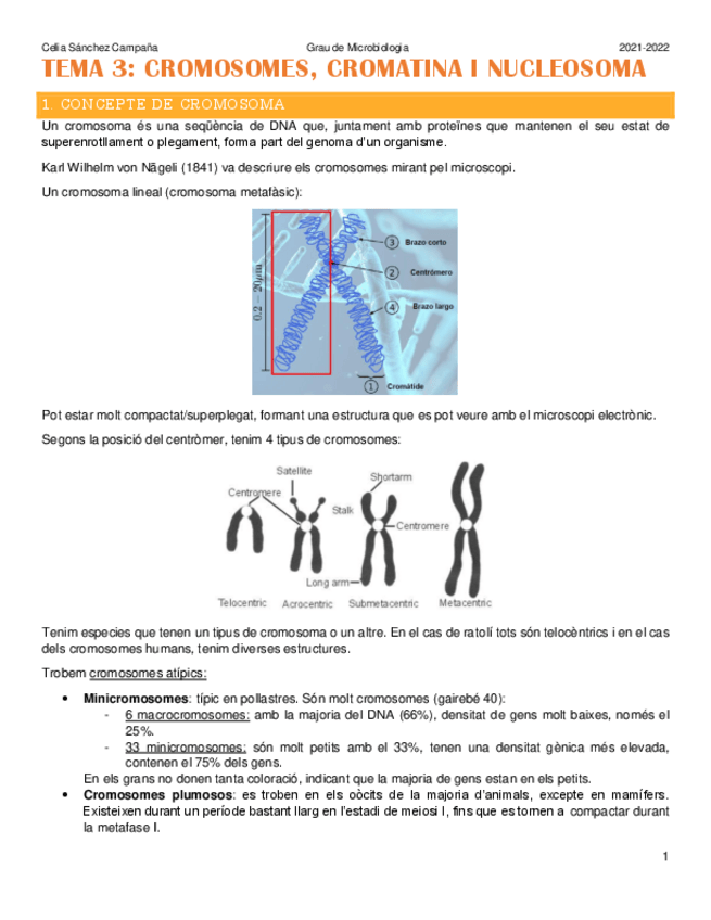 Miniatura del documento Tema-3.pdf