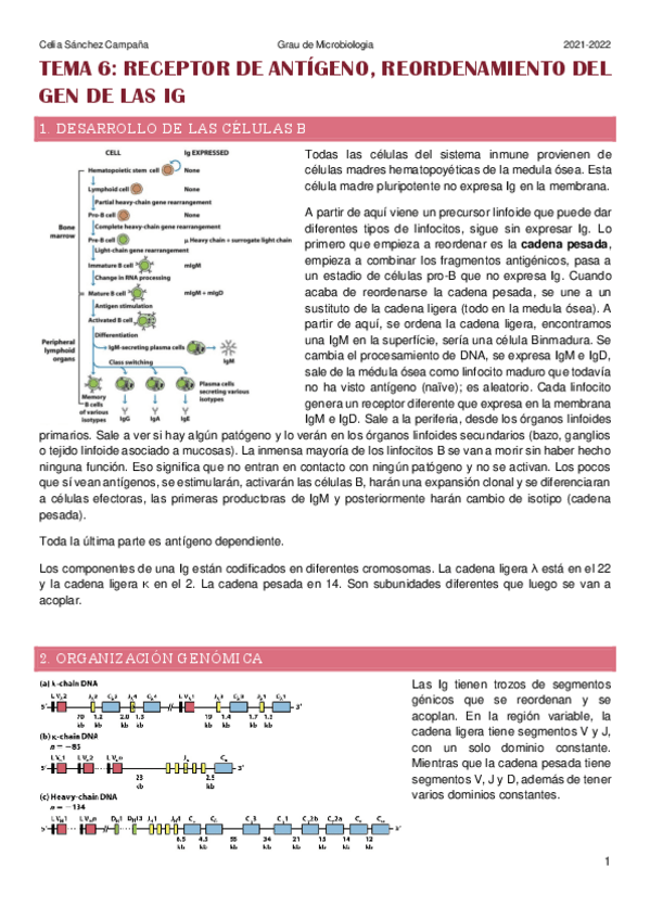 Miniatura del documento Tema-6.pdf