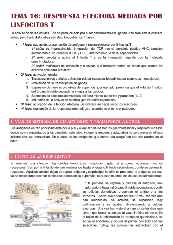 Miniatura del documento Tema-16.pdf
