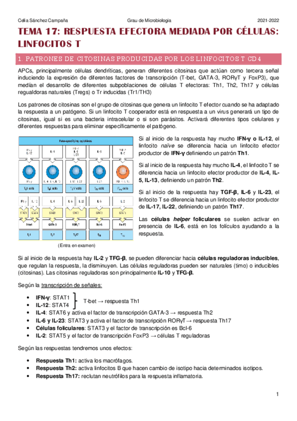 Miniatura del documento Tema-17.pdf