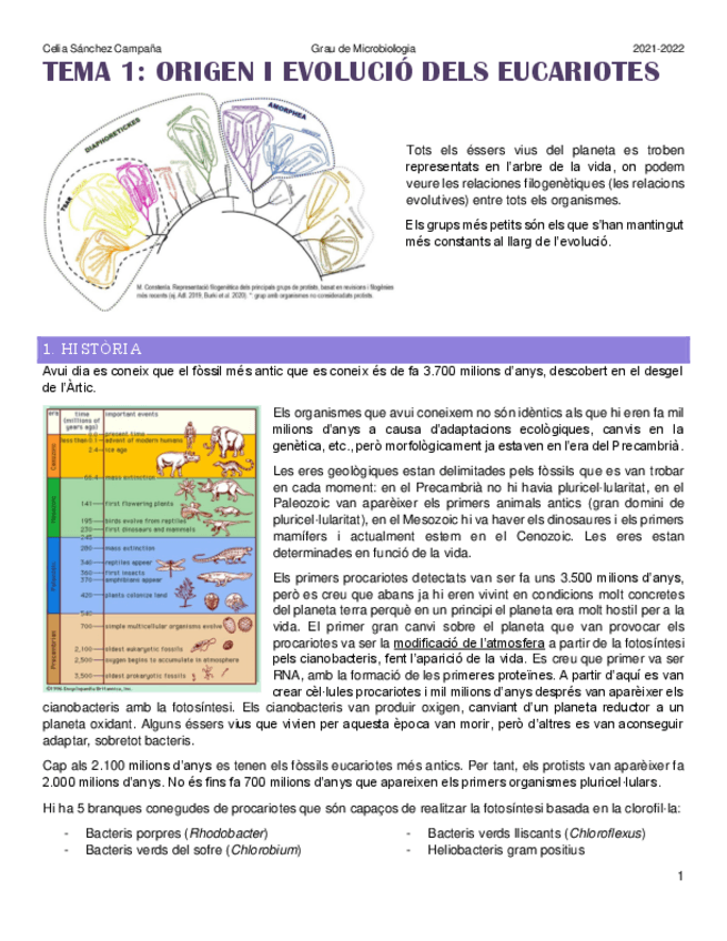 Miniatura del documento Tema-1.pdf