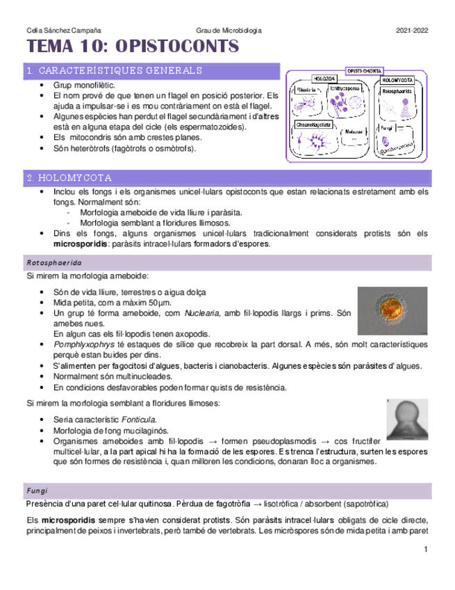 Miniatura del documento Tema-10.pdf