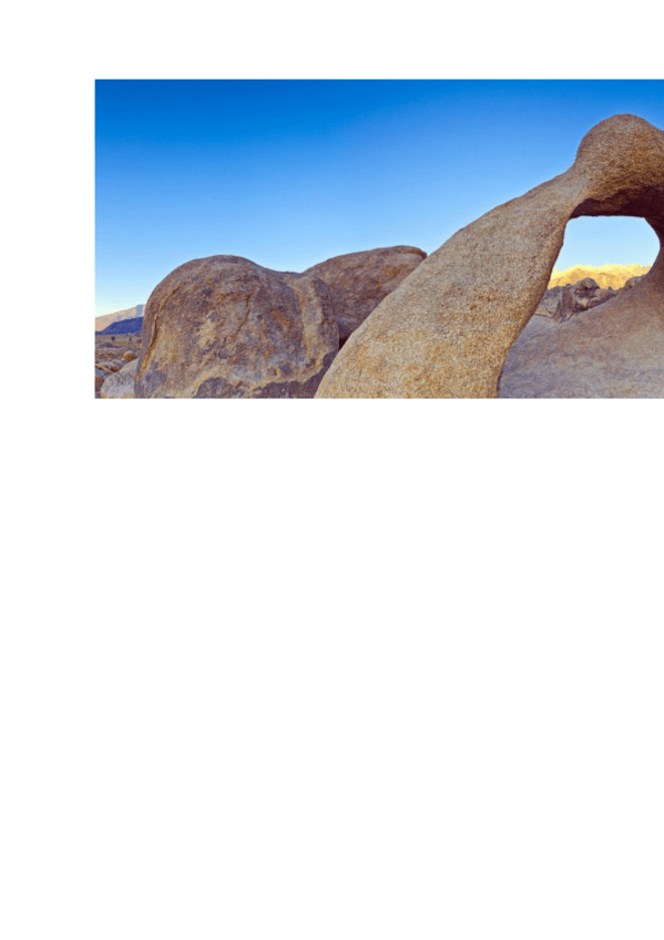 Miniatura del documento T1merged.pdf