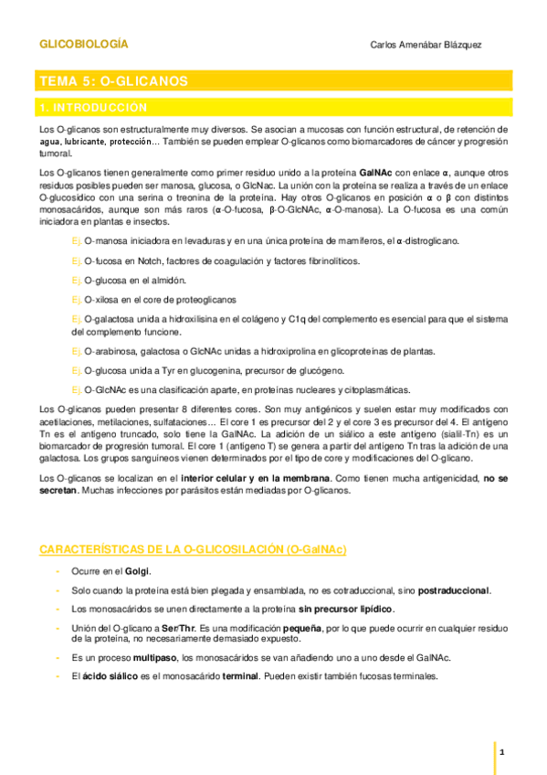 Miniatura del documento TEMA-5O-glicanos.pdf