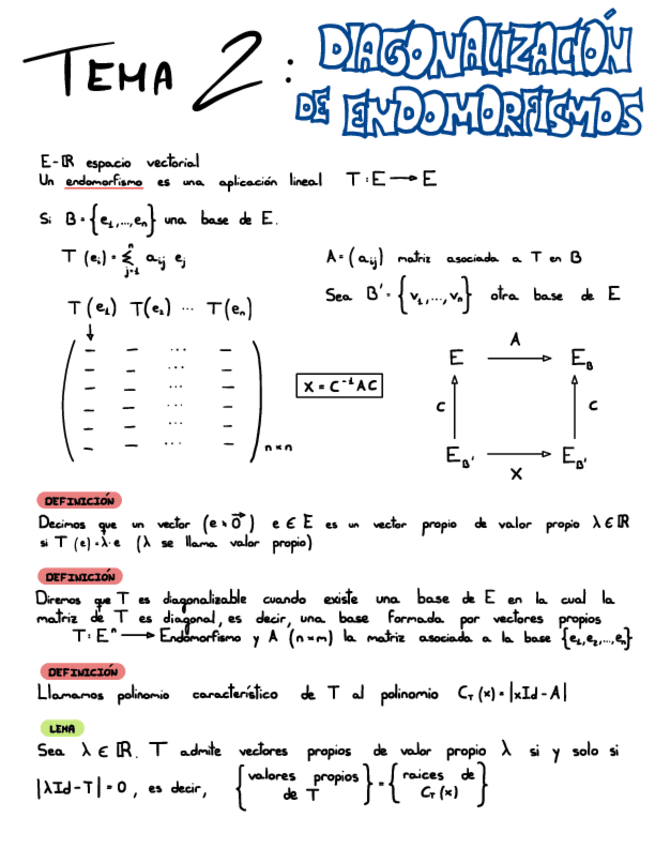 Miniatura del documento TEMA 2: diagonalización de endomorfismos.pdf