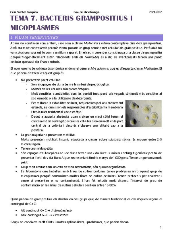 Miniatura del documento Tema-7.pdf