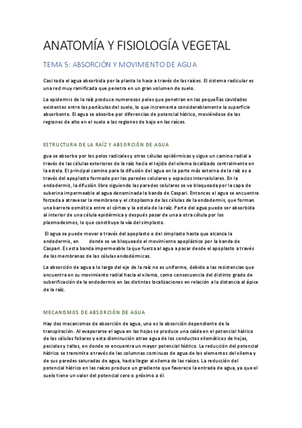 Miniatura del documento AFV T5.pdf