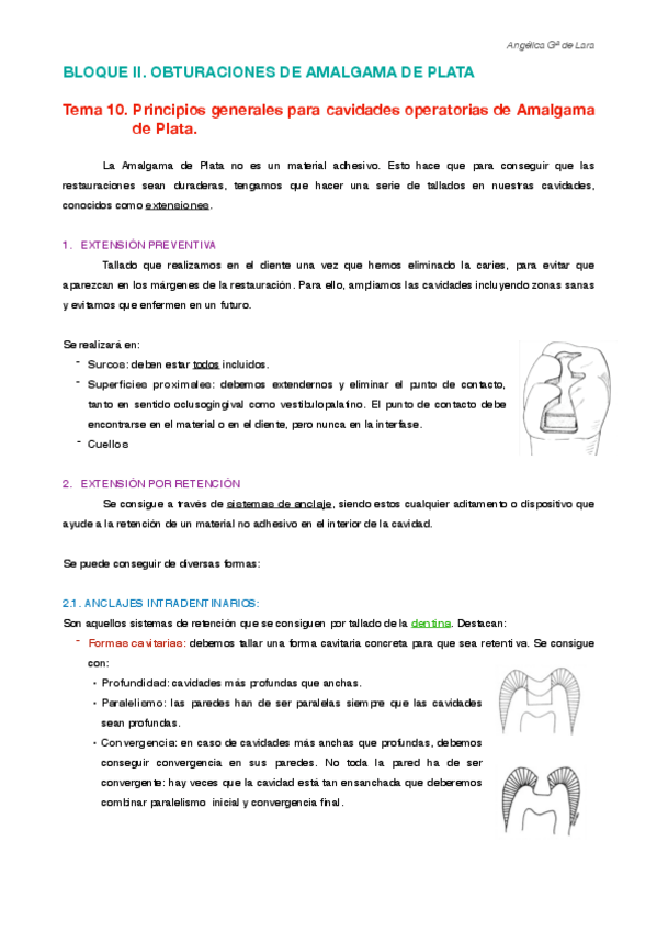 Miniatura del documento Tema 10.pdf