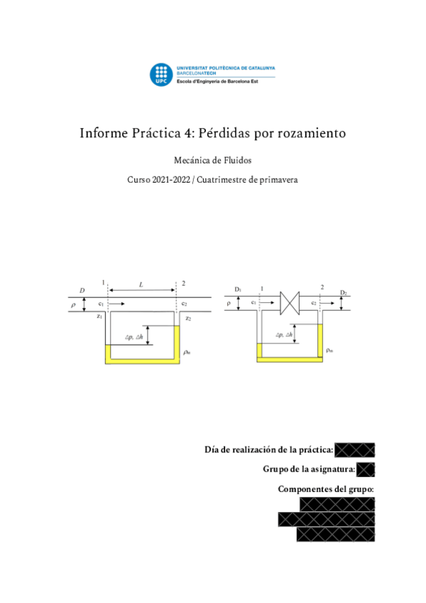 Miniatura del documento MF Práctica 4 Pérdidas por rozamiento
