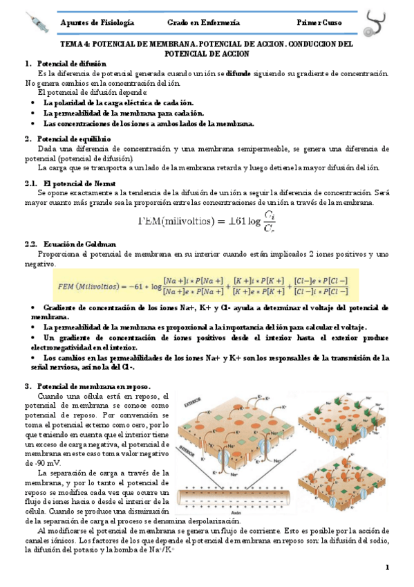 Miniatura del documento TEMA 4 POTENCIAL DE MEMBRANA. POTENCIAL DE ACCION. CONDUCCION DEL POTENCIAL DE ACCION.pdf