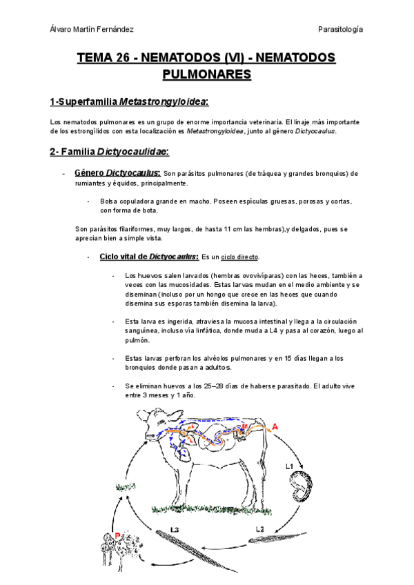Miniatura del documento TEMA-26-NEMATODOS-VI-NEMATODOS-PULMONARES.pdf