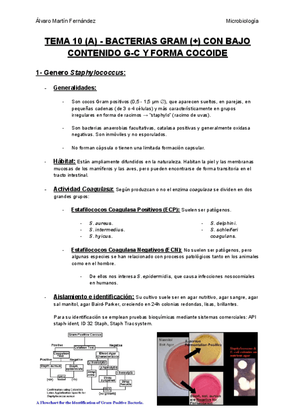 Miniatura del documento TEMA-10-A-BACTERIAS-GRAM-POSITIVAS-CON-BAJO-CONTENIDO-G-C-Y-FORMA-COCOIDE.pdf