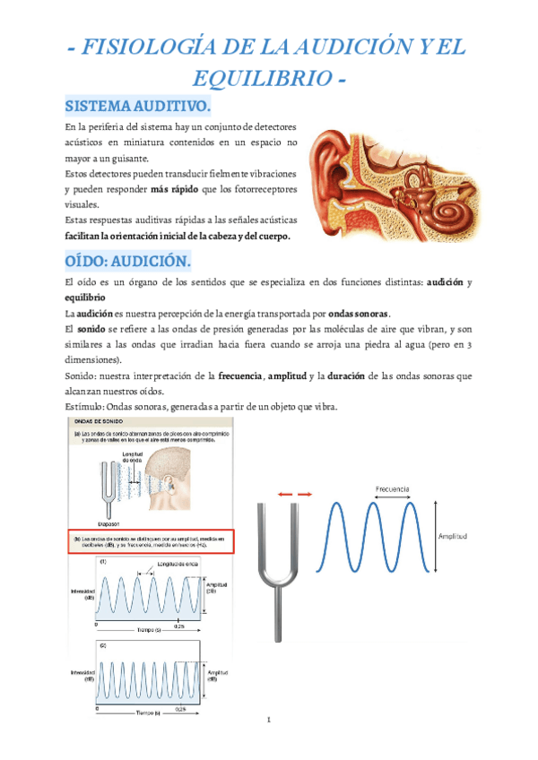 Miniatura del documento 6.pdf